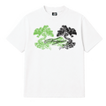 SVVEGIE EVO GREEN/BLACK
